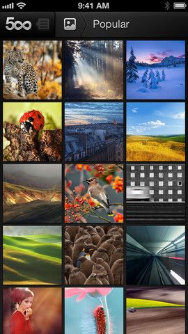 Photo of the 500px iPhone app.