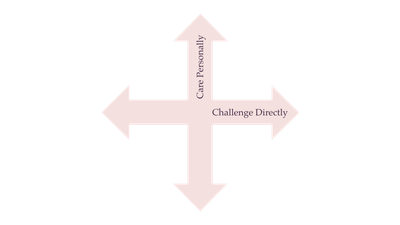 A graph depicting two axes, representing caring for colleagues vs whether or not you're willing to challenge them directly