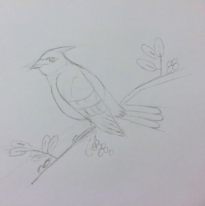 First sketches