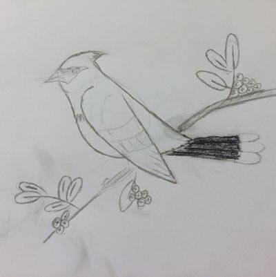 Intermediate sketches