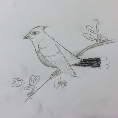 Final sketch