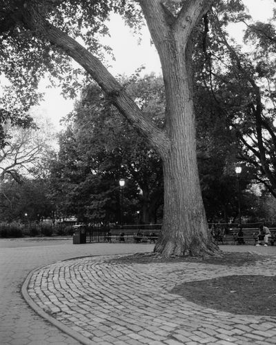 Thompkins Square Park