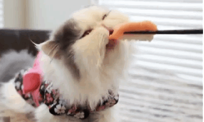 Om nom nom.