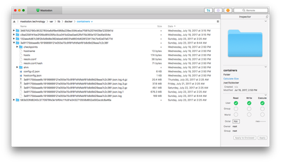 Docker container directory listing